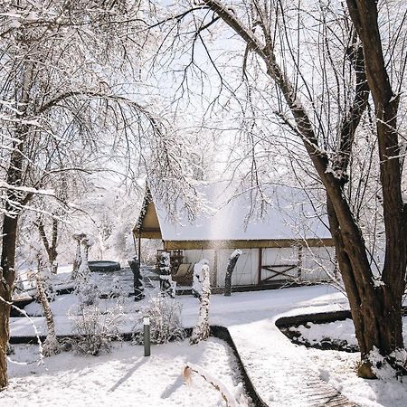 Luxury Vineyard Resort Chateau Ramsak Maribor Exterior photo